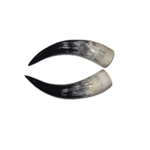 Polished Paired Cow Horn 10"-12"